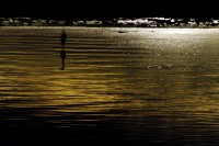 California Salton Sea III